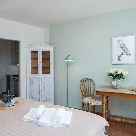 Apartmán Double Classic-1 By Interhome Ascona